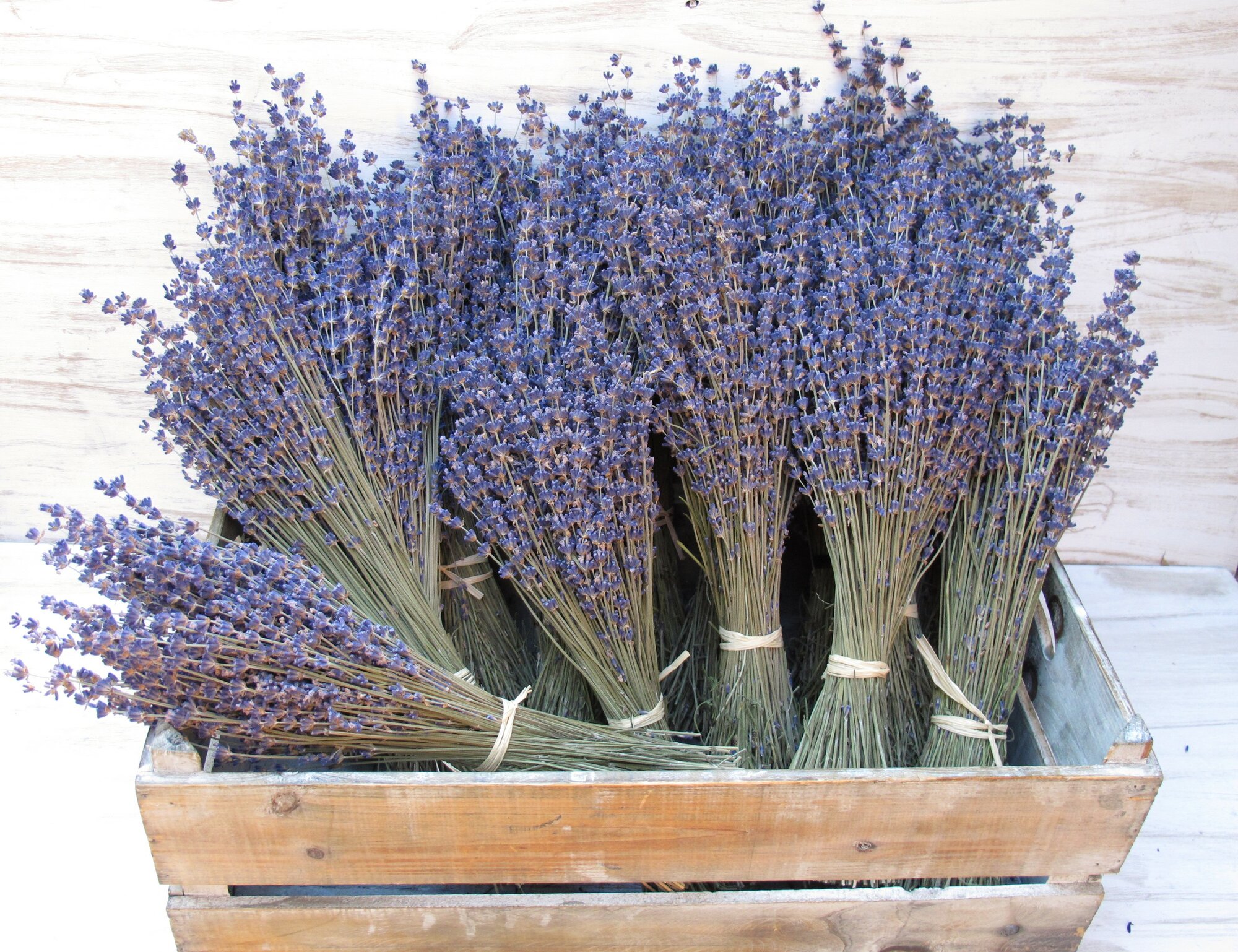 Банный веник 