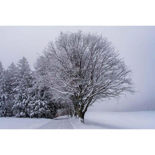 Объектив Nikon AF-P NIKKOR 70-300mm 145-63G ED 30692₽