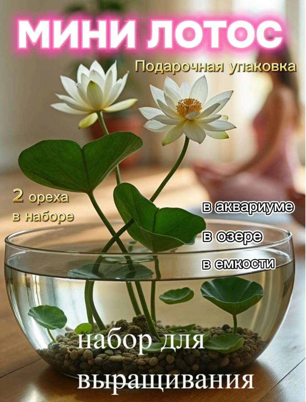 Набор для выращивания семян лотоса в горшке 