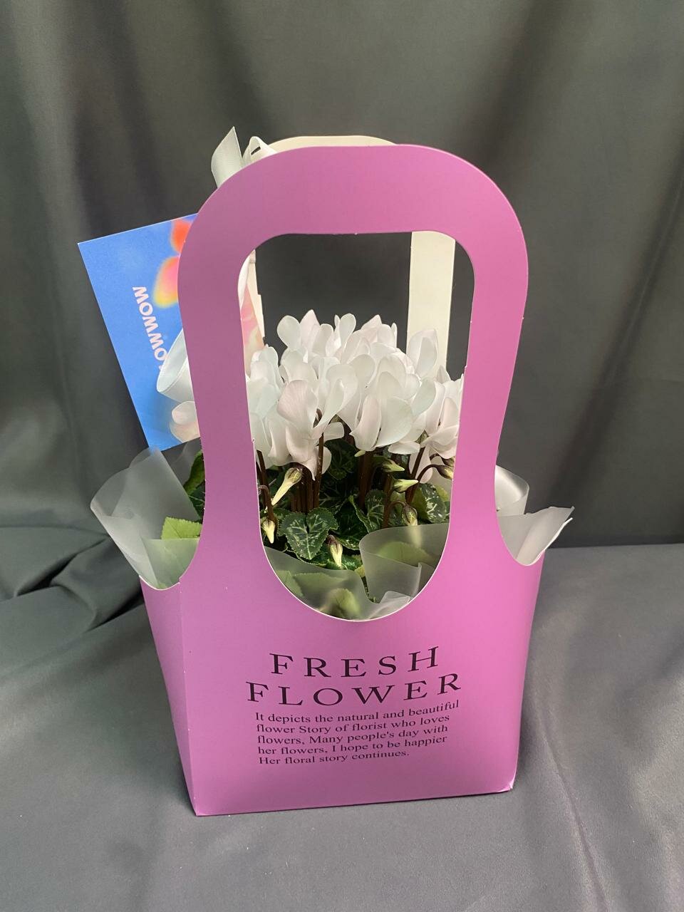 Цикламен в подарочной упаковке и в коробке лучший подарок маме