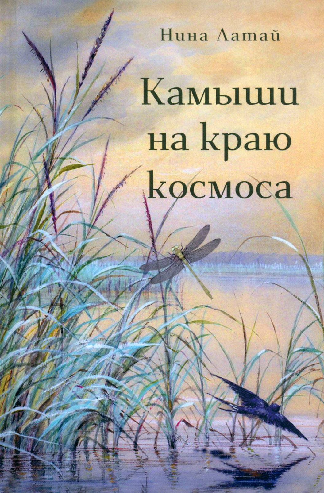 Камыши на краю космоса (Латай Нина) - фото №1