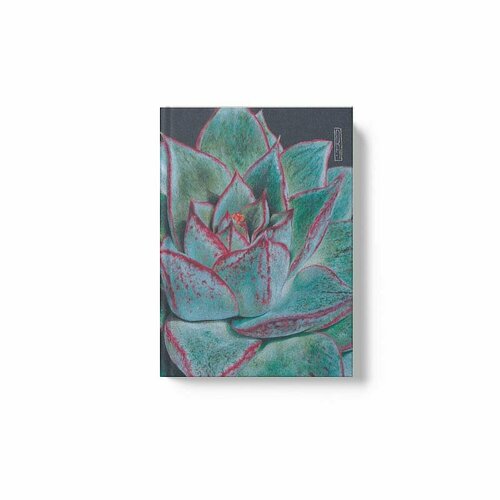 Книга для записей А6 80л Succulent (Эксклюзив) КанцЭксмо книга для записей а5 80л лин don t panic интегр переплет ламинация soft touch