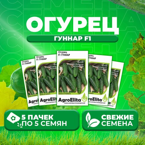 Огурец Гуннар F1, 5шт, AgroElita, Enza Zaden (5 уп) огурец гуннар f1 5шт agroelita enza zaden 5 уп