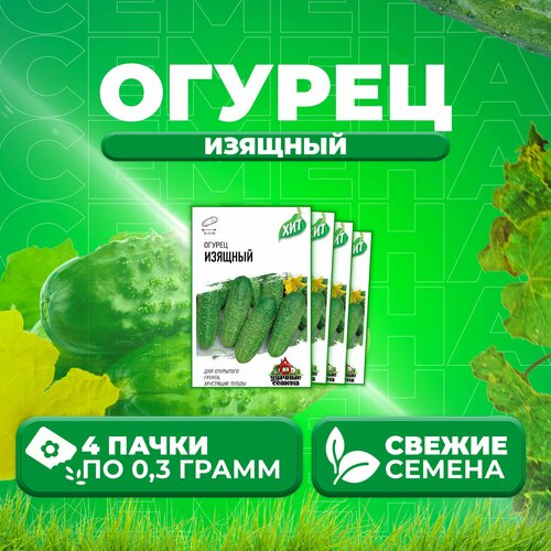 Огурец Изящный, 0,3г, Удачные семена, серия ХИТ (4 уп) огурец конкурент 0 3г удачные семена серия хит 4 уп