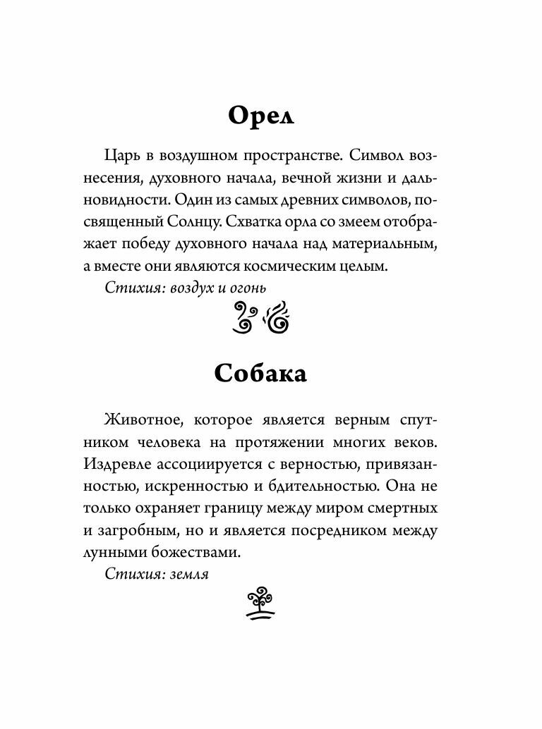 Спроси духа-хранителя. Настольный оракул начинающей ведьмы - фото №20