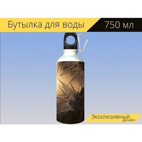 фото Бутылка фляга для воды "природа, открытый, обои на стену" 750 мл. с карабином и принтом lotsprints