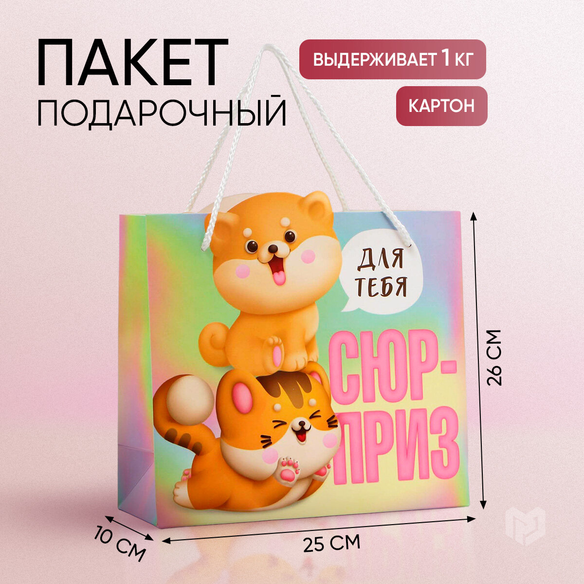 Пакет подарочный «Сюрприз», 25 × 26 × 10 см