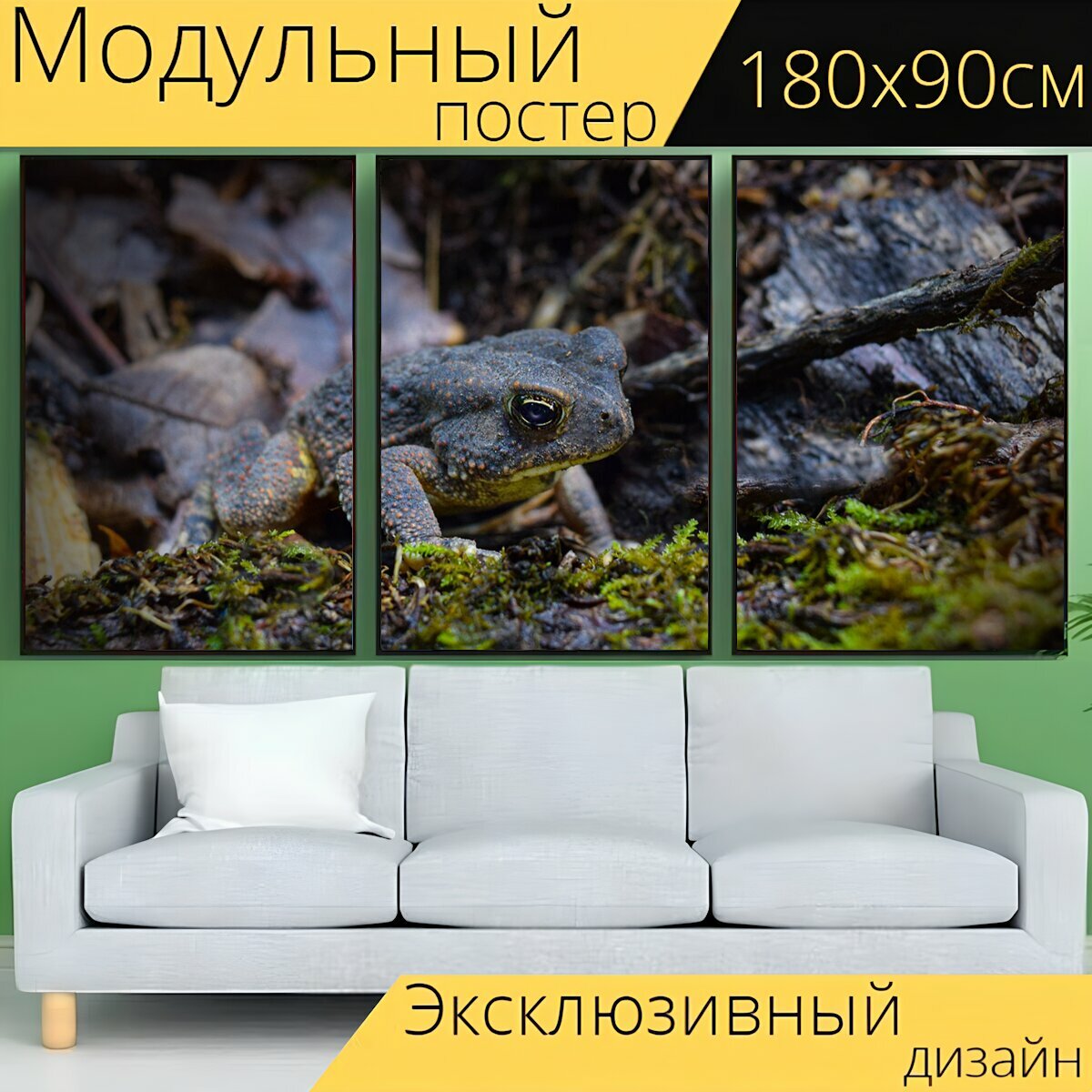 Модульный постер "Жаба, лягушка, природа" 180 x 90 см. для интерьера