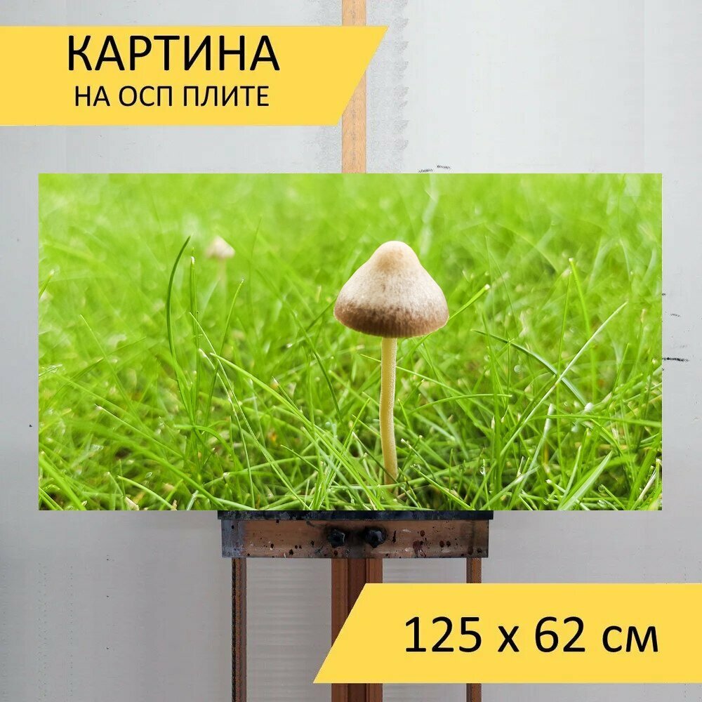 Картина на ОСП 125х62 см. "Трава, гриб, природа" горизонтальная, для интерьера, с креплениями