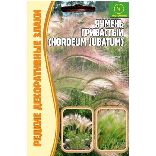 Ячмень гривастый 0,1 г редкие семена (2шт в заказе) саженец ячмень гривастый