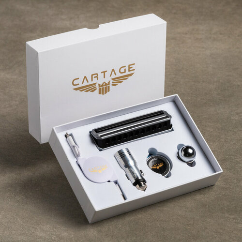 Подарочный набор Cartage, лучшему водителю, 4 предмета автомобильный подарочный набор cartage 3 предмета