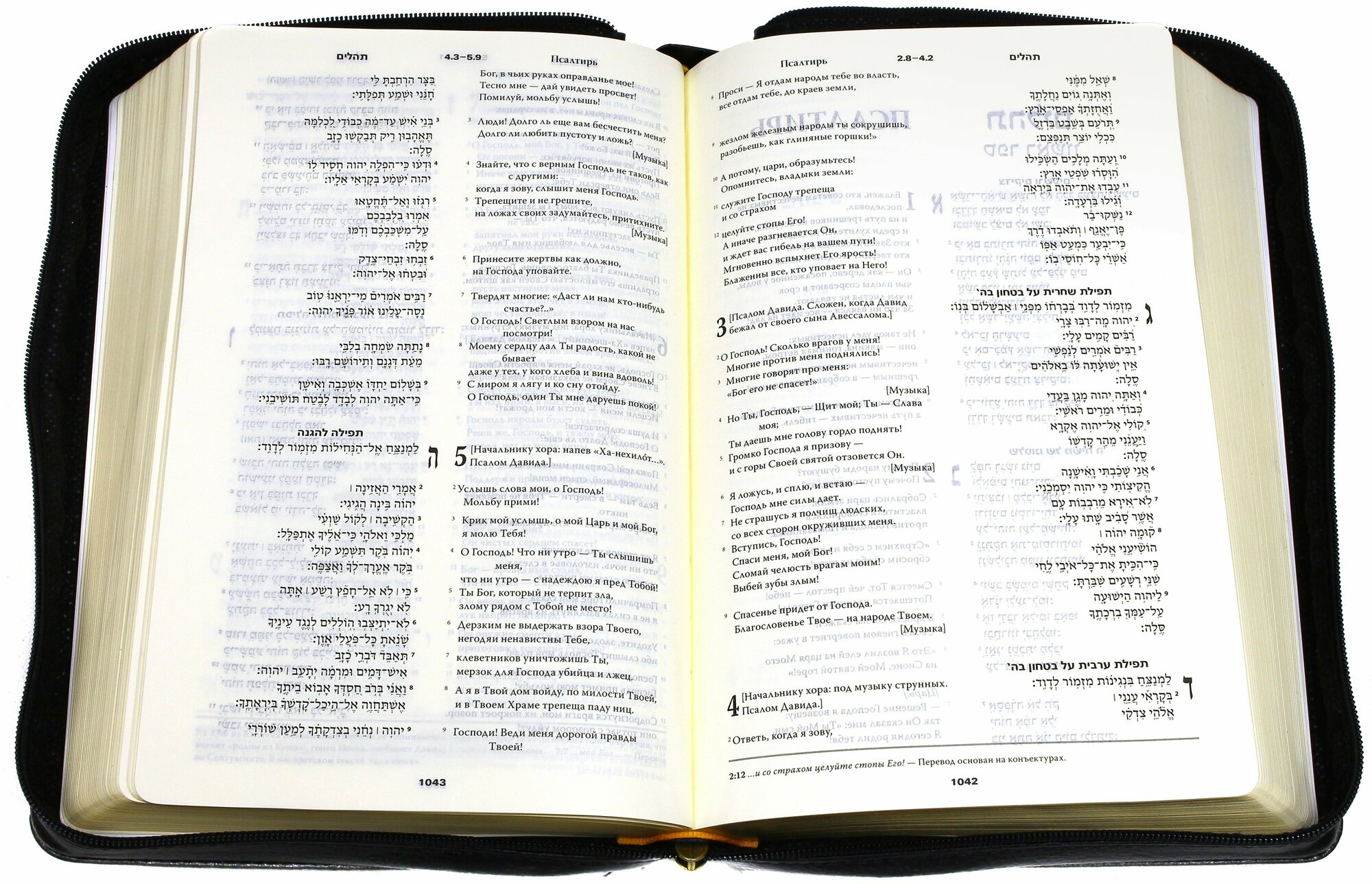 Библия на еврейском и современном русском языках - фото №8