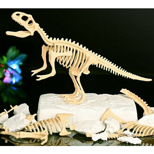 Jialemi Детский набор раскопки скелета динозавра имитация ископаемого динозавра пластиковая модель скелета детский набор для сборки скелета динозавра ручной работы модель тираннозавра