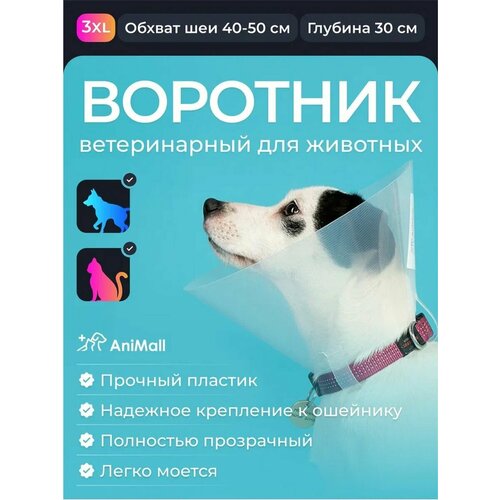 Воротник пластиковый 30 см