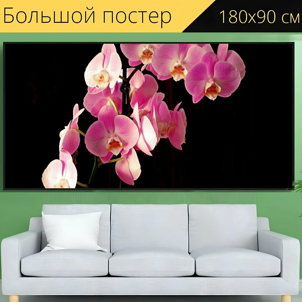 Большой постер "Орхидеи, цветы, розовый" 180 x 90 см. для интерьера