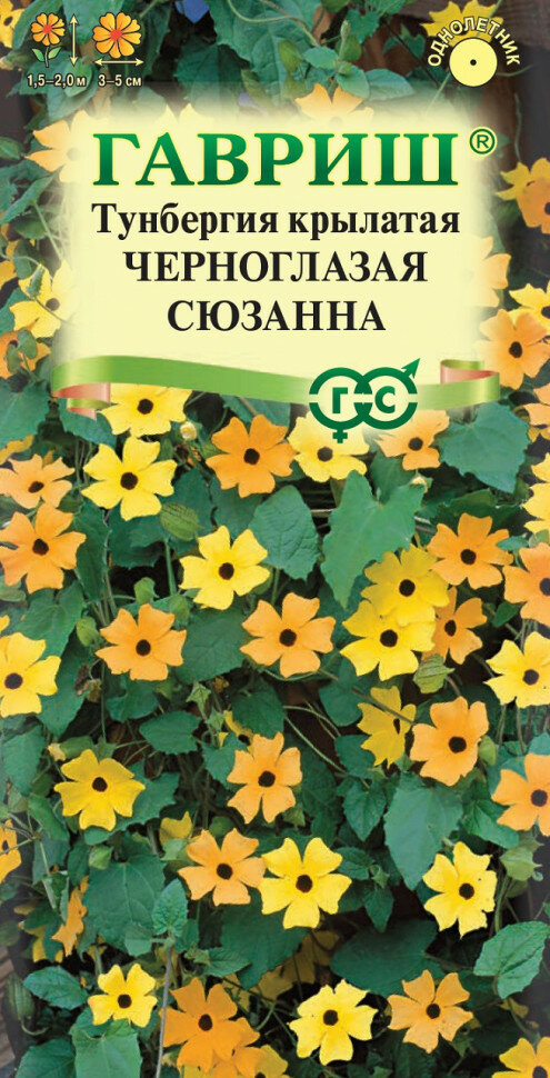 Семена Тунбергия Черноглазая Сюзанна, 0,3г, Гавриш, Цветочная коллекция, 10 пакетиков