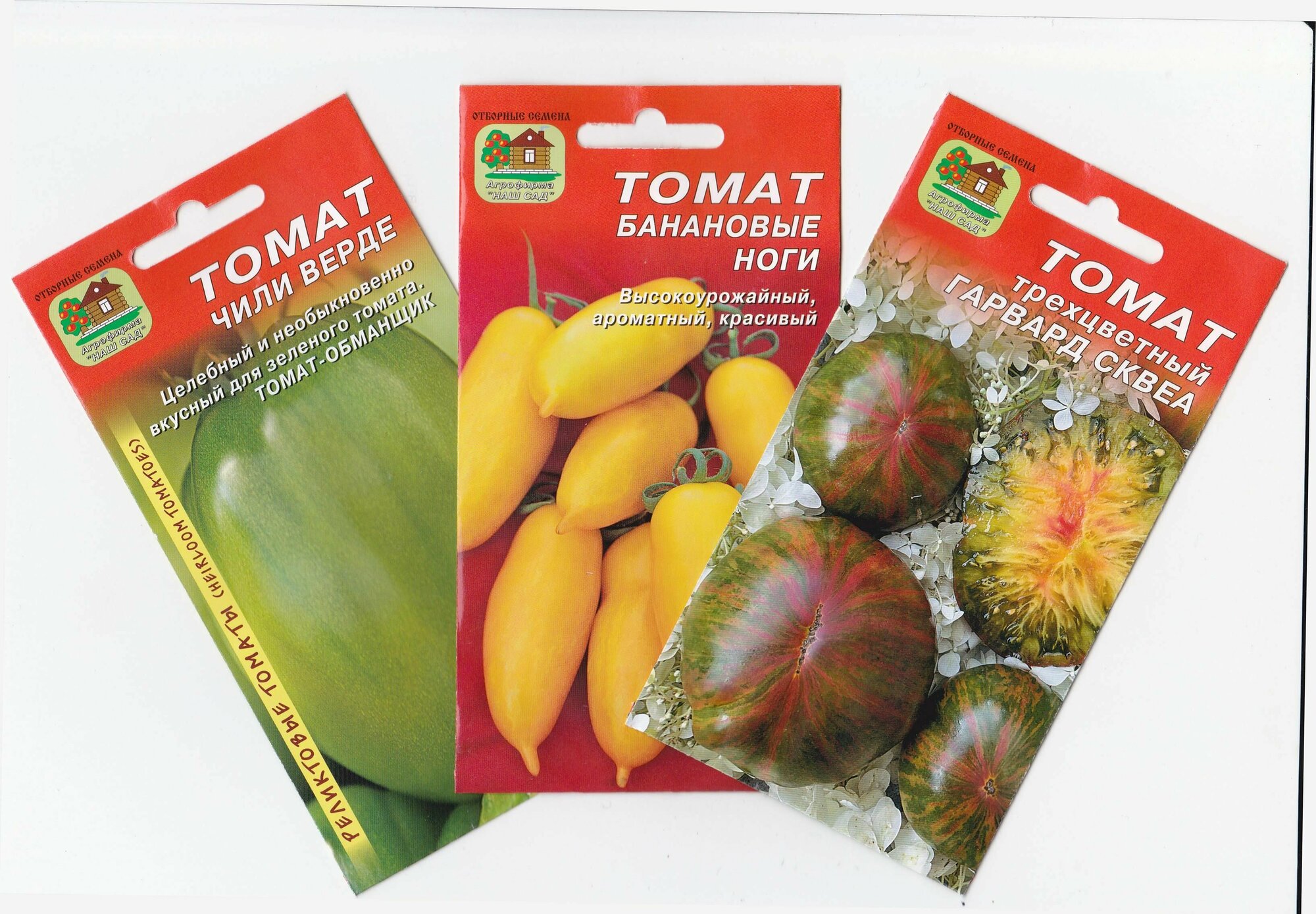 Семена томатов (Чили Верде Банановые ноги трехцветный Гарвард Сквеа)