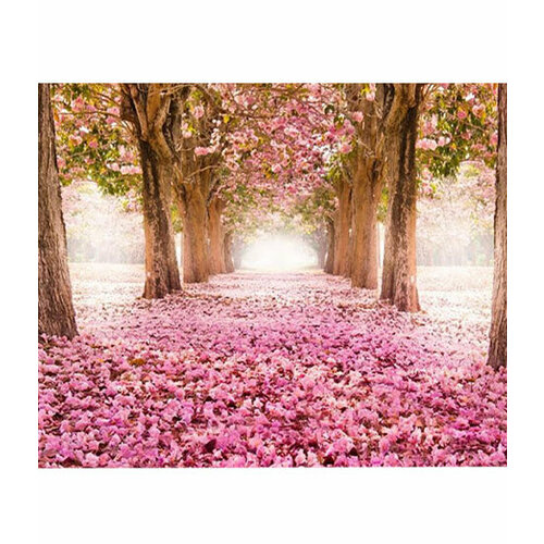 фото Картина по номерам «цветочная аллея» 40х50 см холст на деревянном подрамнике