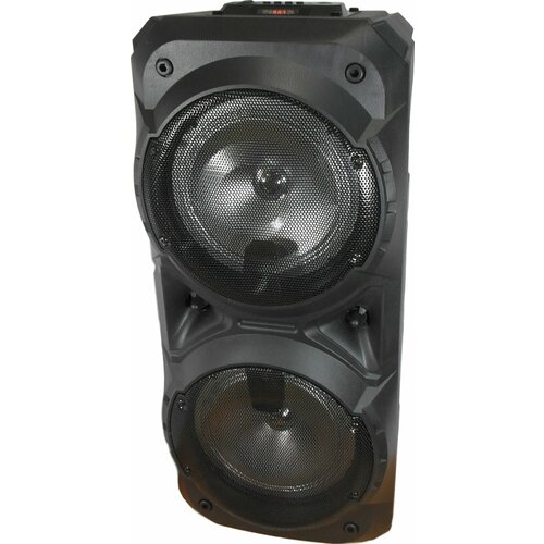 Напольная колонка 8201 Черная 909500₽