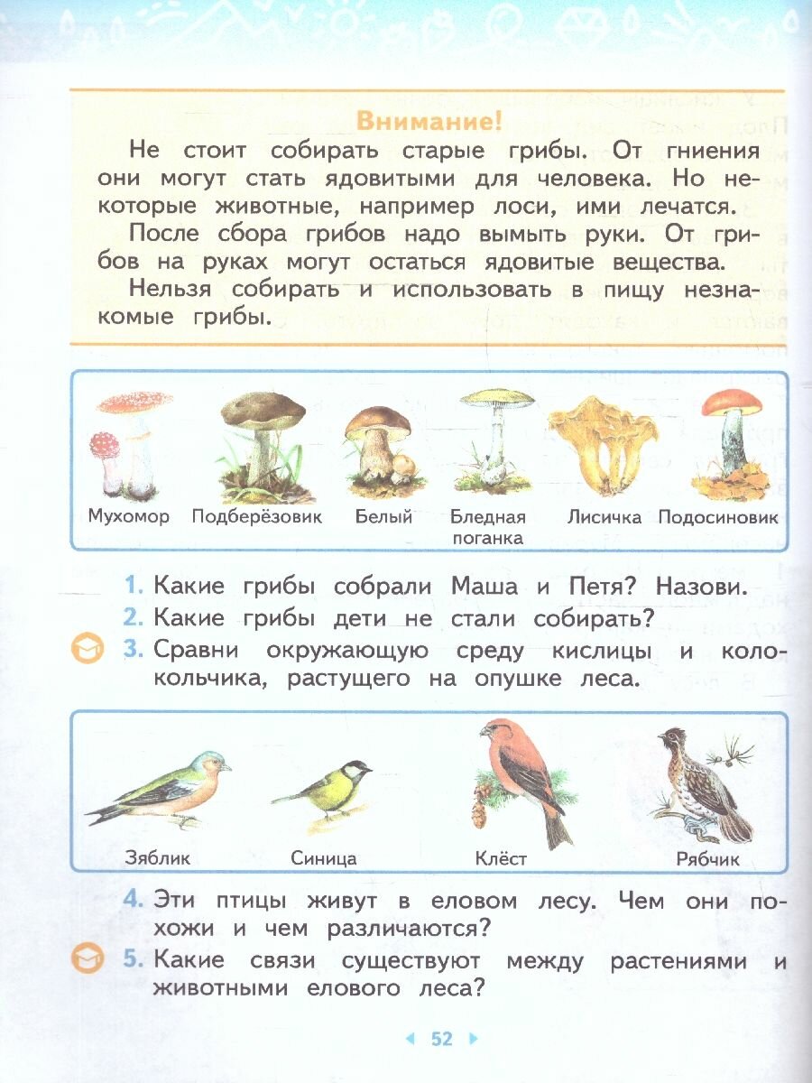 Окружающий мир. 2 класс. Учебное пособие. В 2-х частях. ФГОС - фото №9