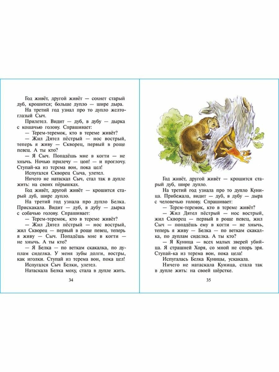 Книга Сказки из леса (Детская художественная литература) - фото №16