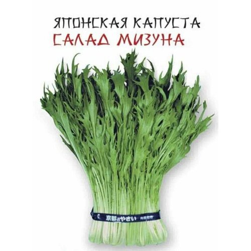 Капуста японская Салад Мизуна
