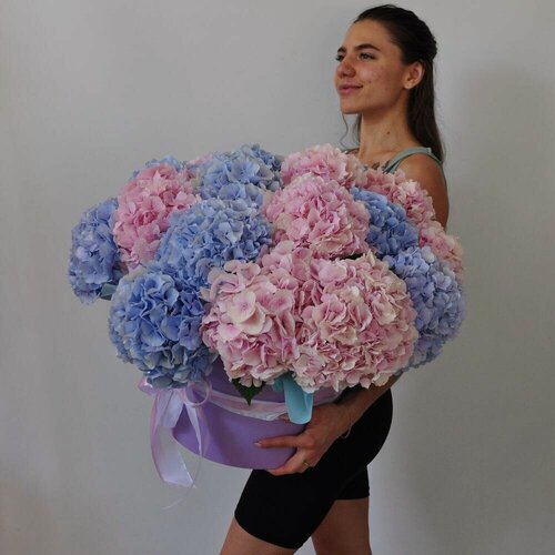 Изображение товара Гортензия, 21 штучка. Большой букет розовых и голубых гортензий в коробке