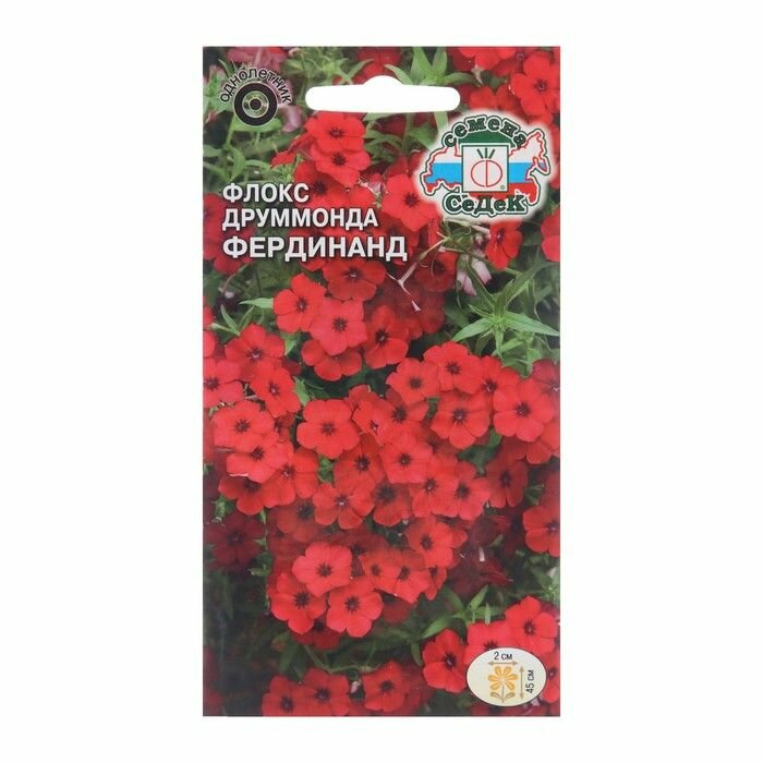 Семена цветов Флокс "Фердинанд" Евро 02 г ( 1 упаковка )