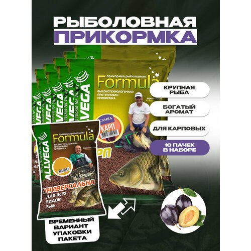 Прикормка ALLVEGA Formula Carp Plum (карп слива) набор 10 штук по 0.9 кг