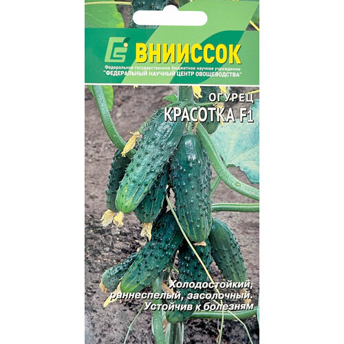Огурец Красотка F1 10шт 189₽