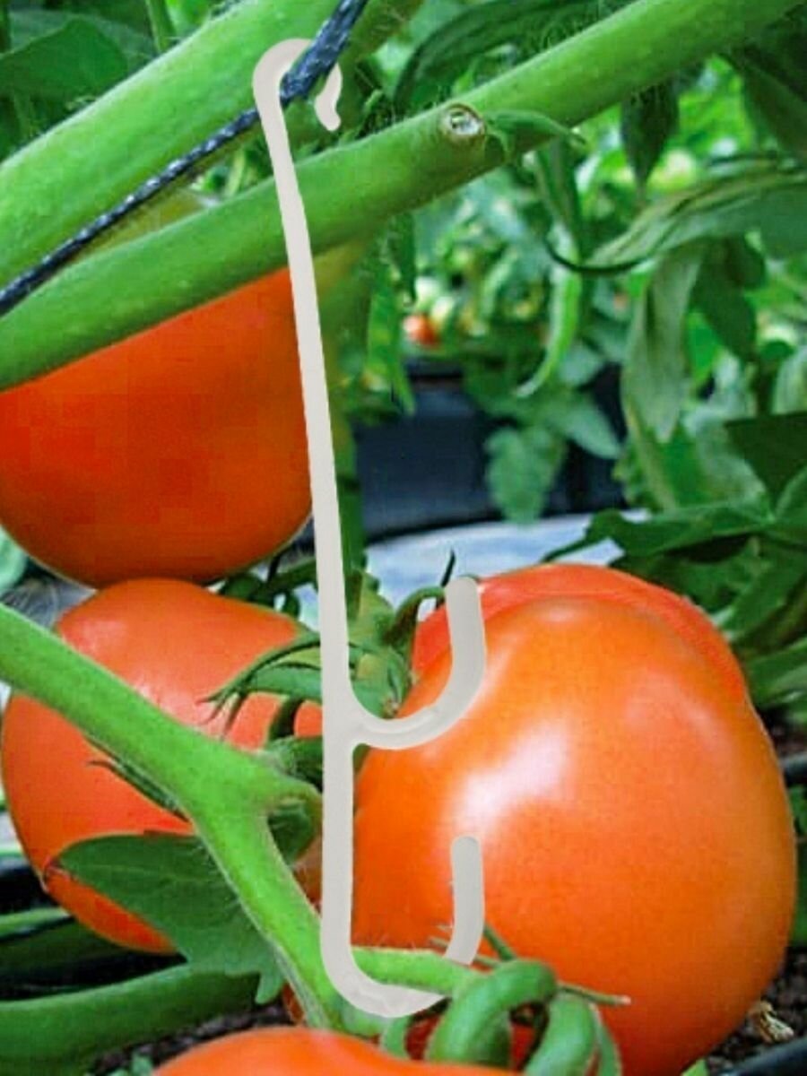 Крючок кистедержатель для плодов 30 шт. — фото 1