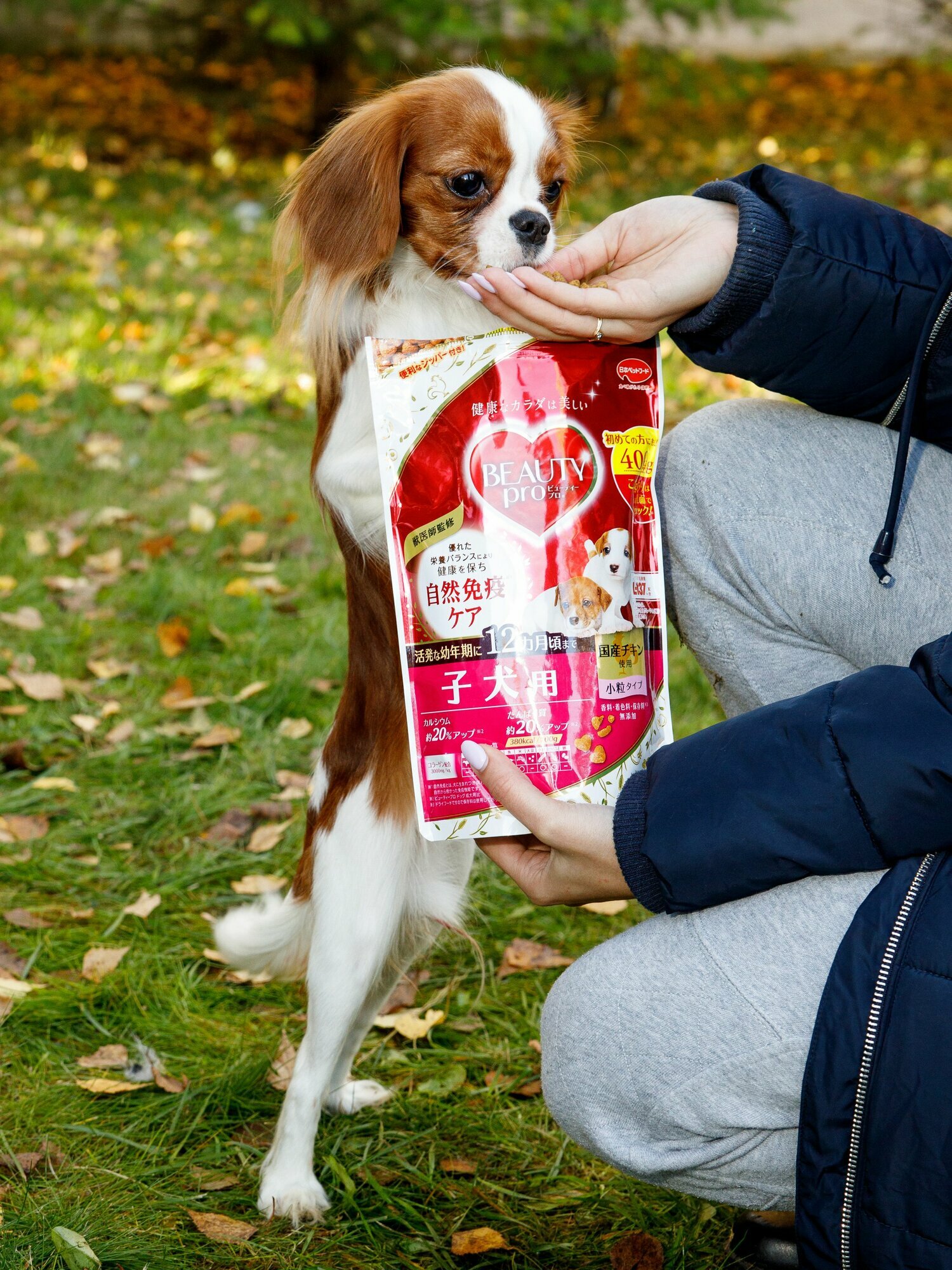 Корм для собак сухой Japan Premium Pet с коллагеном и DHA для развития умственной и физической активности щенка — фото 1