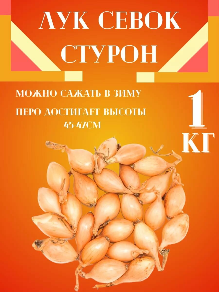 Лук-севок Стурон (Чувашия) 1кг