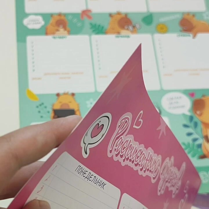 Расписание уроков и звонков для школьников — фото 1