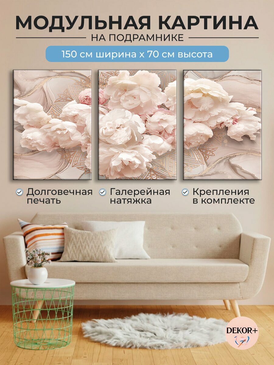 Картины на стену для интерьера 70х150 см Нежные пионы модульная B127
