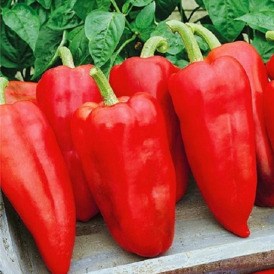 Семена Deodar SEEDS COMPANY Перец сладкий Рэмбо 10 шт.