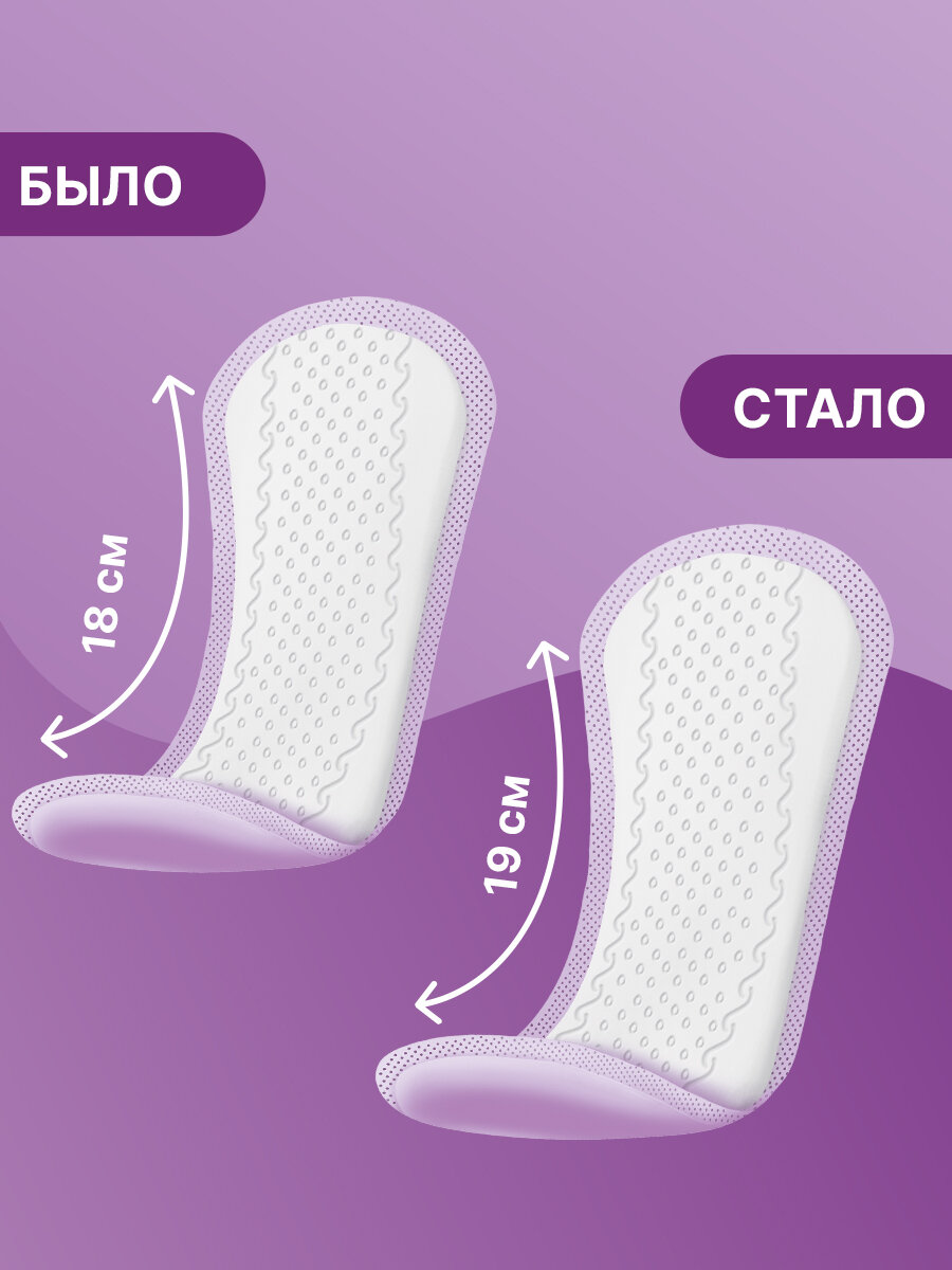 Изображение Урологические прокладки для женщин TerezaLady Micro 48 шт (24 х 2 уп)