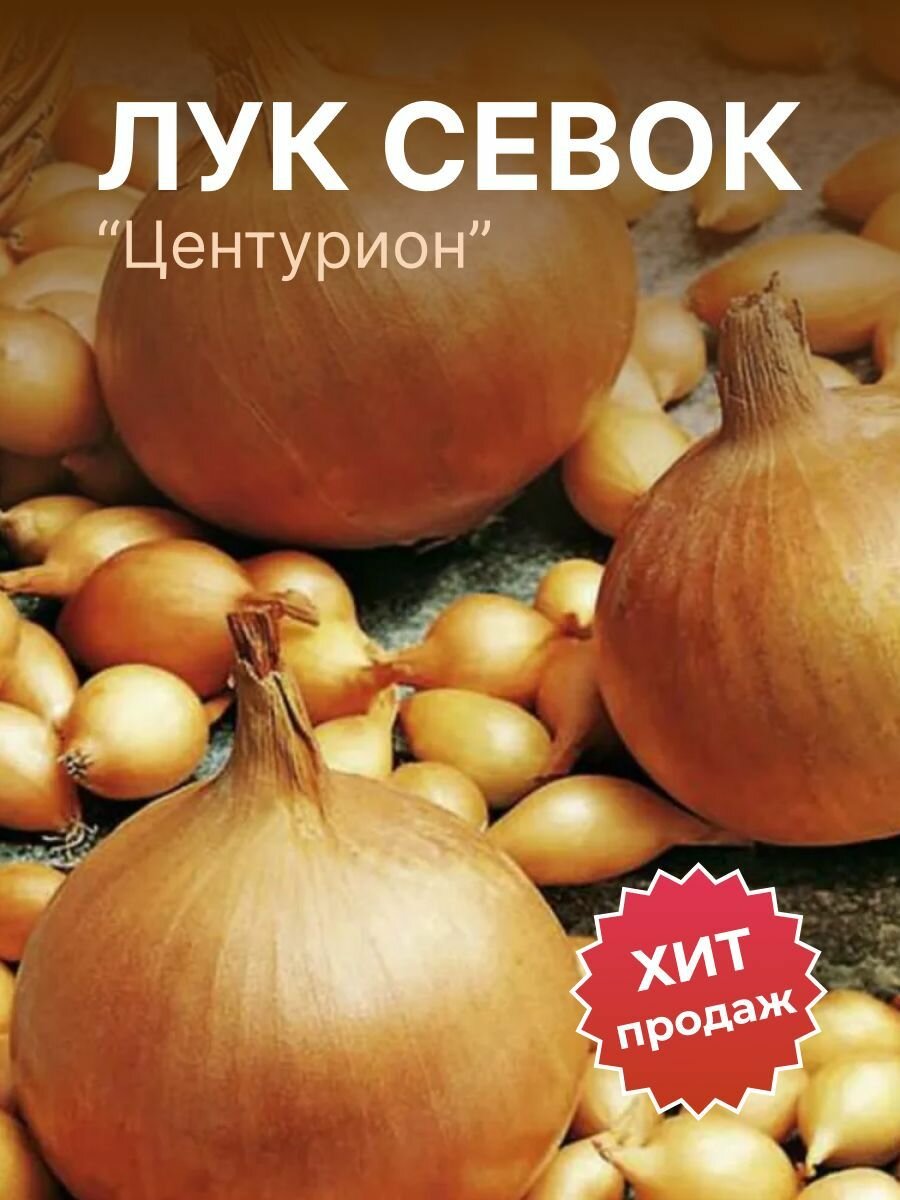 Лук севок на посадку Центурион 500гр