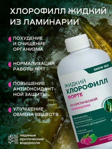 Изображение товара БАД Хлорофилл жидкий для ЖКТ, детокса и похудения АВ1918, 450 мл