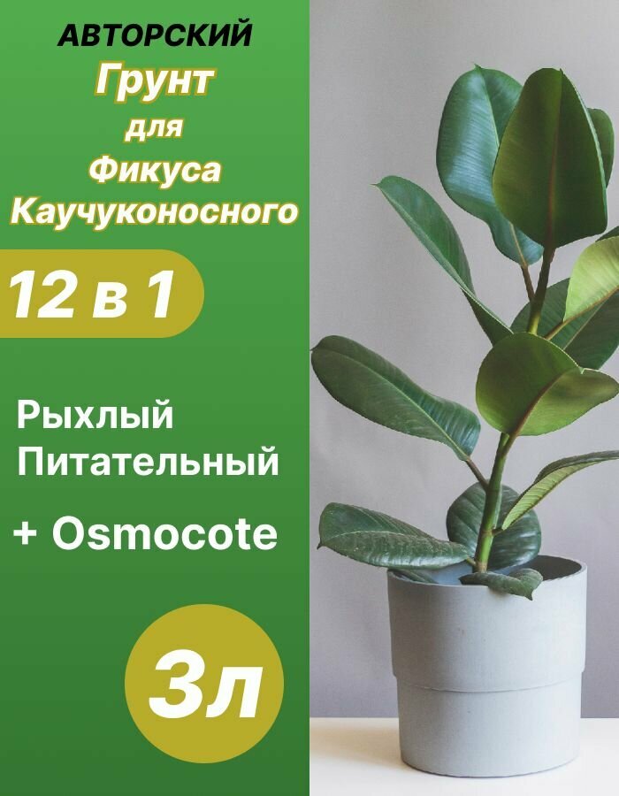 Грунт для Фикуса Каучуконосного 3л готовый