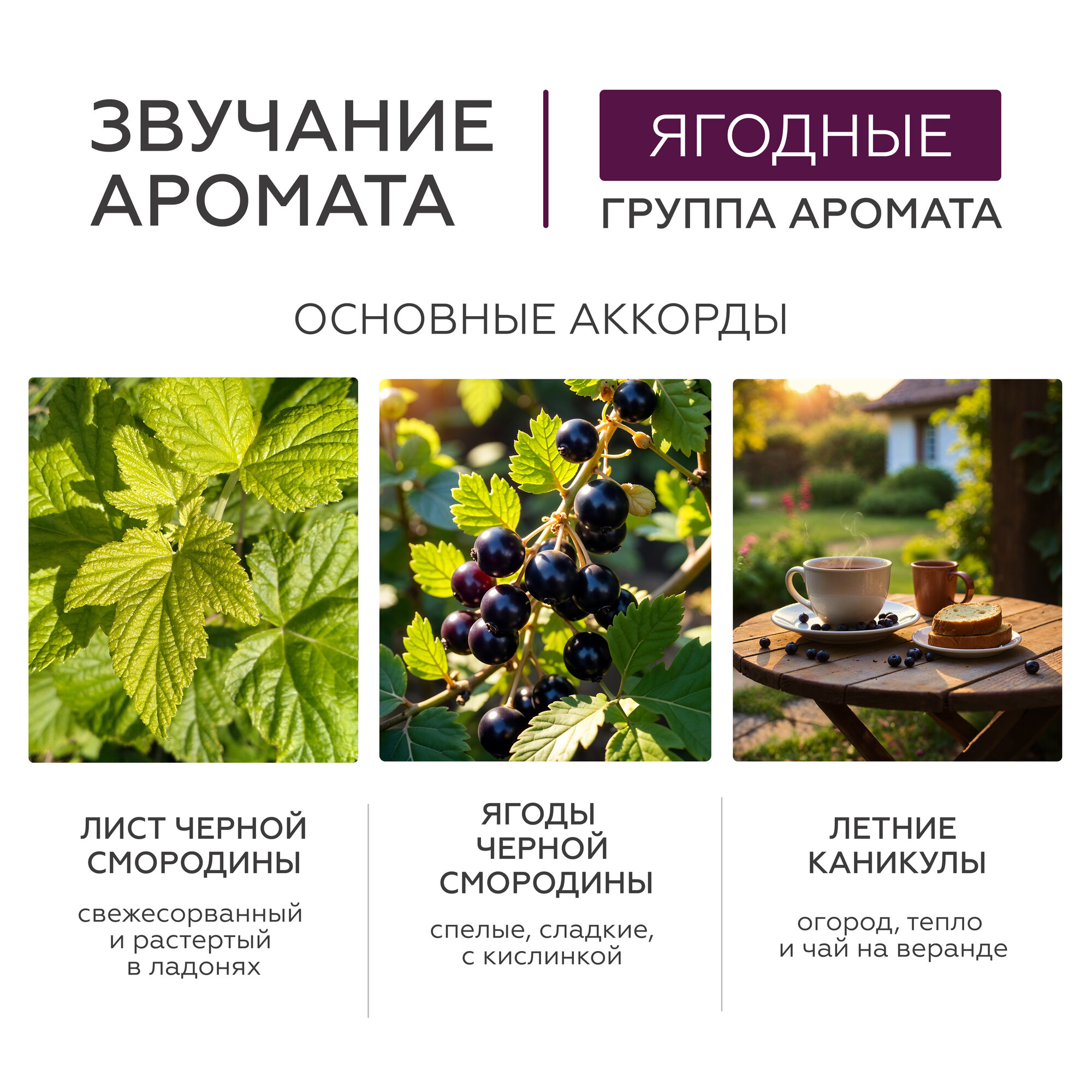 Гельтек Масло для душа увлажняющее Black cassis, 390 мл — фото 1