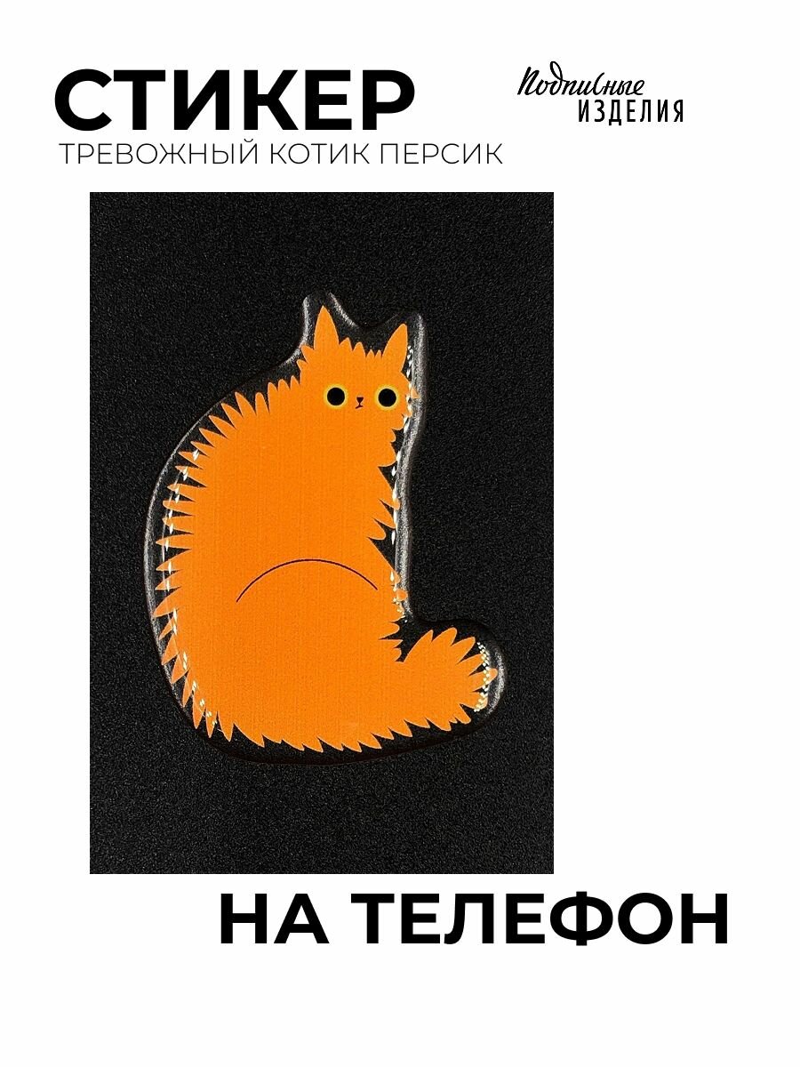 Стикер объемный "Тревожный котик Персик"