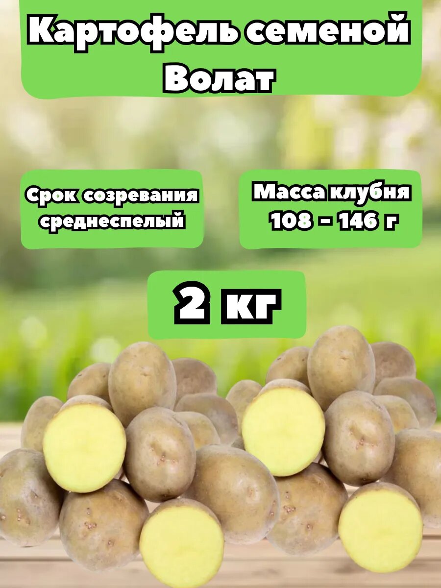 Картофель Волат 2 кг