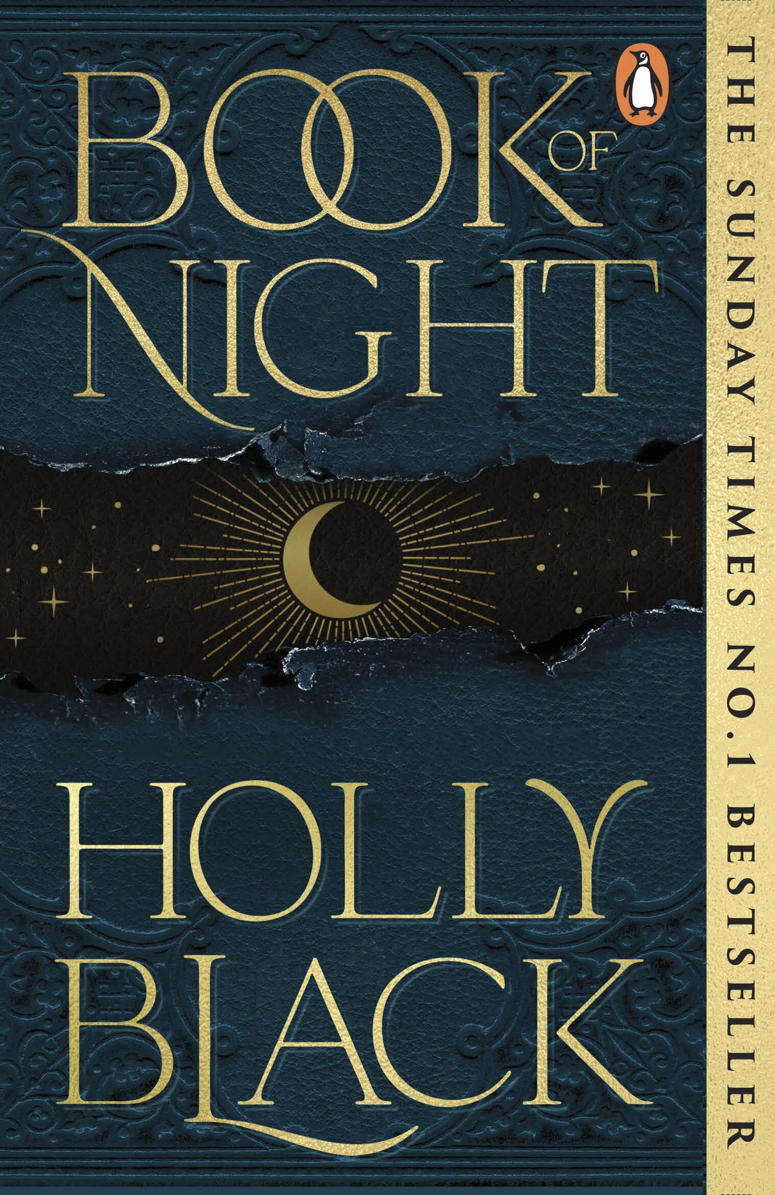 Book of Night (Блэк Холли) - фото №5