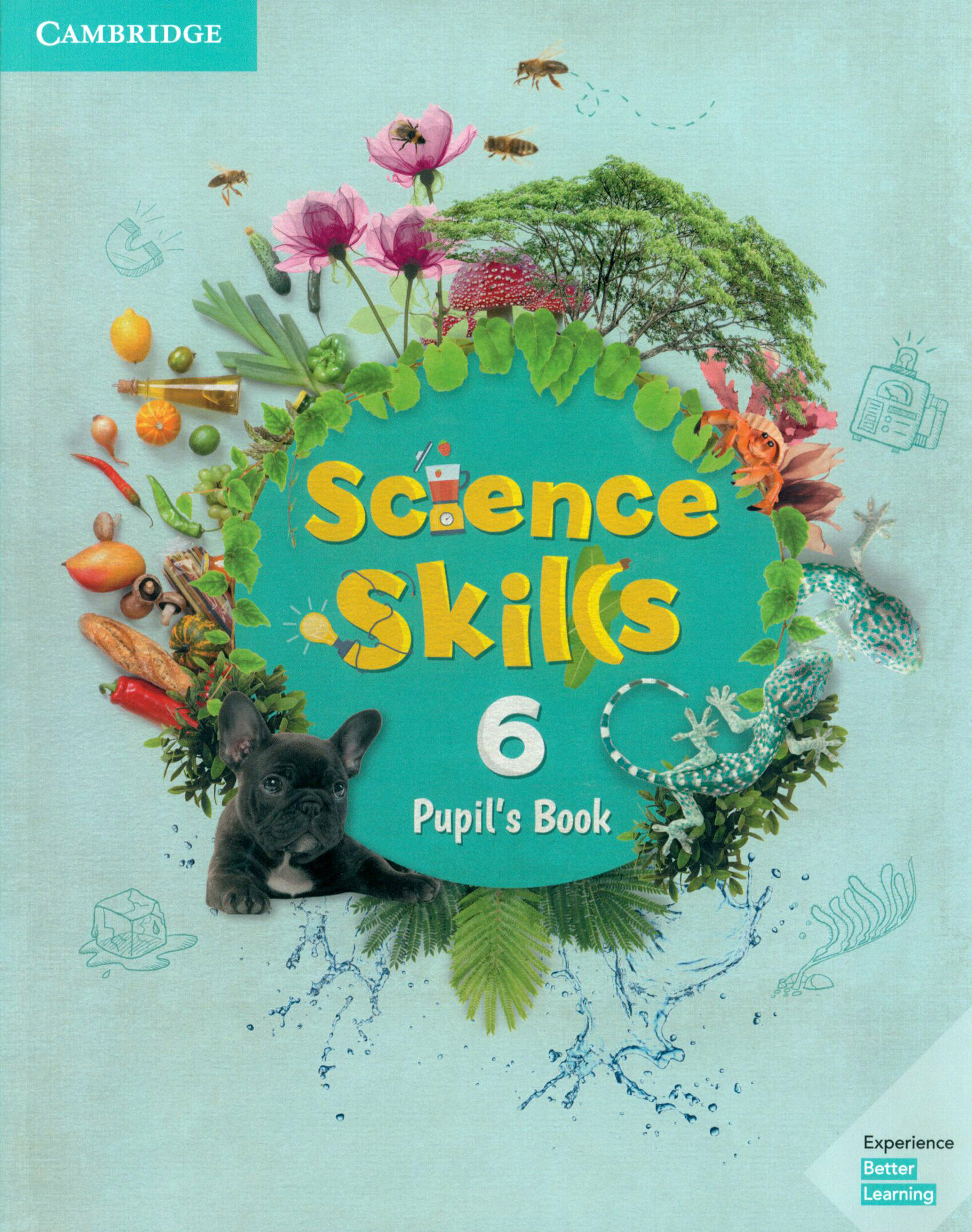 Science Skills. Level 6. Pupil's Book - фото №2