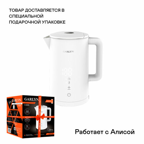 Чайник электрический GARLYN K-250S 575500₽