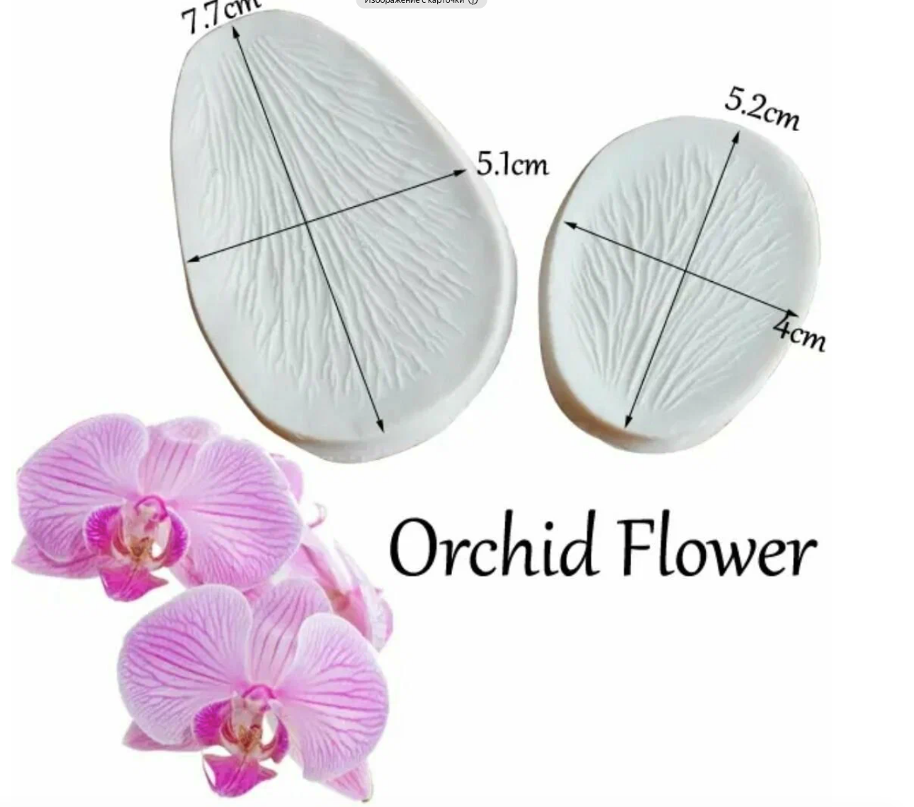 Вайнер Орхидея1