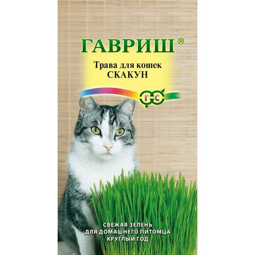 Семена Трава для кошек Скакун, 10,0г, Гавриш, 10 пакетиков гавриш семена трава для кошек скакун 10 г