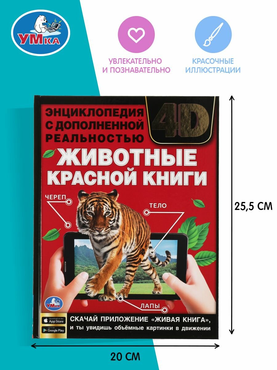 Книга Умка (П. М. Волцит- автор текста Хомякова К. - гл. редактор, Хохлова Е. отв. редактор Павлинов И. - научный редактор) - фото №14