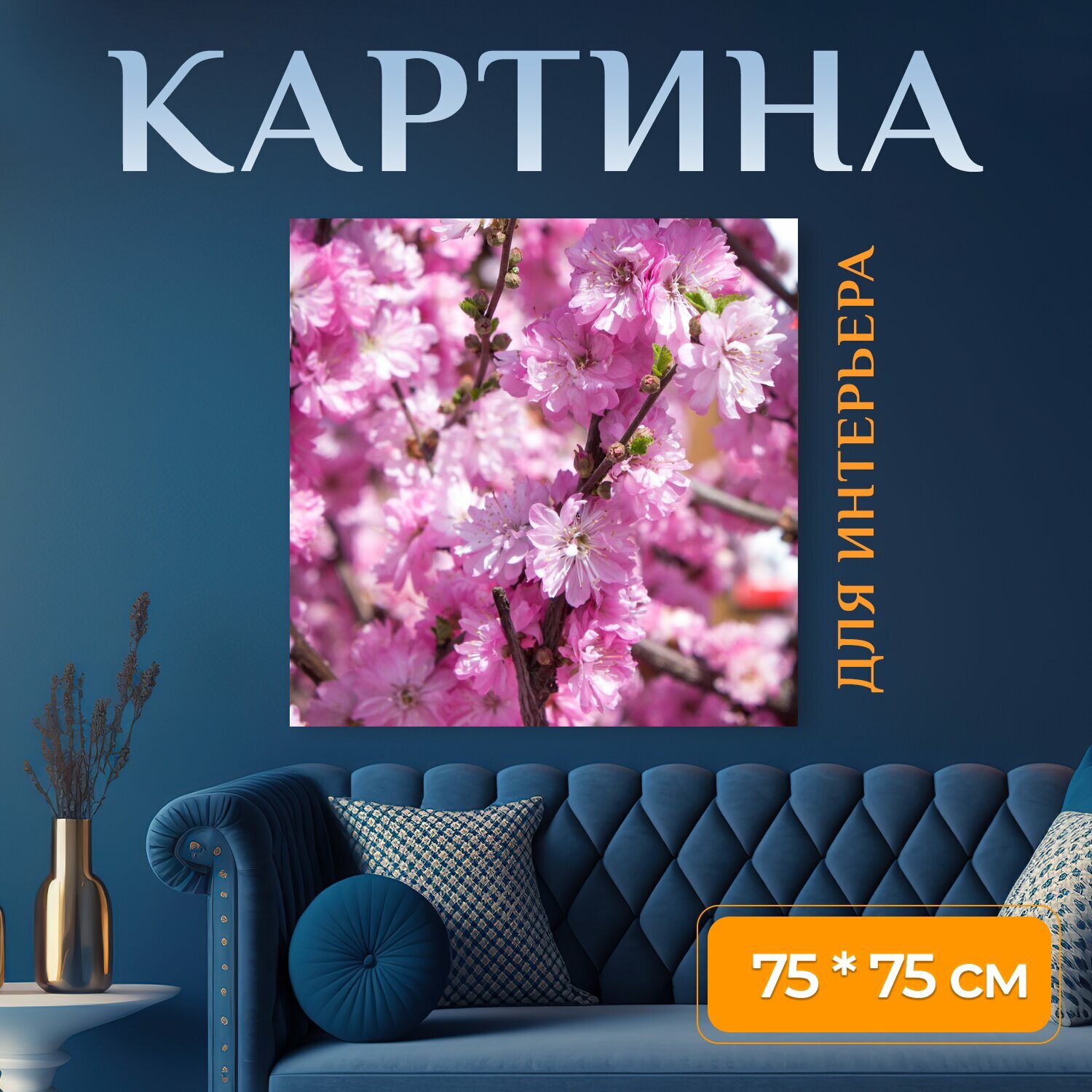 Картина на холсте "Сакура, цветение, розовые цветы" на подрамнике 75х75 см. для интерьера
